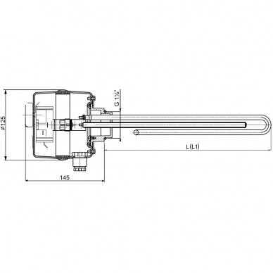 Elektrinis kaitinimo elementas Dražice TJ 6/4"-6 3