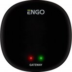 Interneto tinklų sietuvas "ZigBee" ENGO Controls EGATEZB