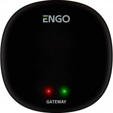 Interneto tinklų sietuvas "ZigBee" ENGO Controls EGATEZB