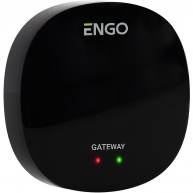 Interneto tinklų sietuvas "ZigBee" ENGO Controls EGATEZB 2