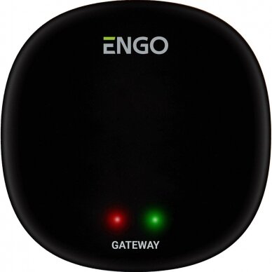 Interneto tinklų sietuvas "ZigBee" ENGO Controls EGATEZB