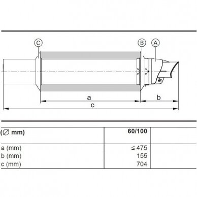 Kaminas dūmų šalinimui per sieną Viessmann Ø60/100 mm, L-700 mm 2